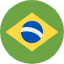 Flag Brésil