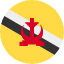 Flag Brunei